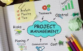 Information Systems Project Management